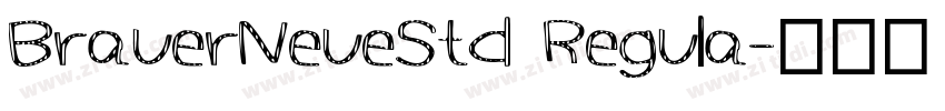 BrauerNeueStd Regula字体转换